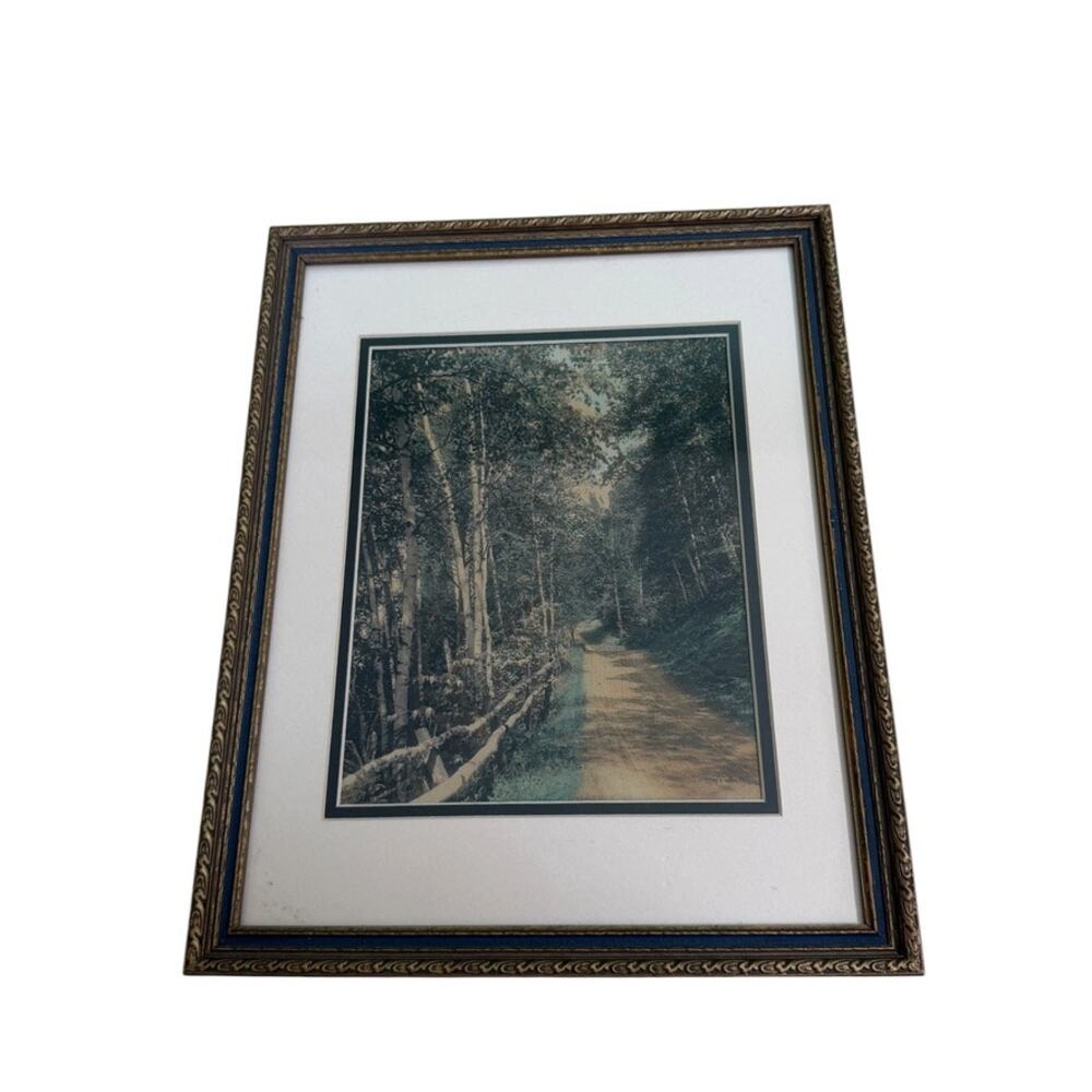 1909 Wallace Nutting A Woodland Cathedral Scratch Signature Hand-Colored Print
